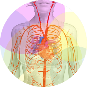 doppler vascular dr. ruda alves alessa 3091 1